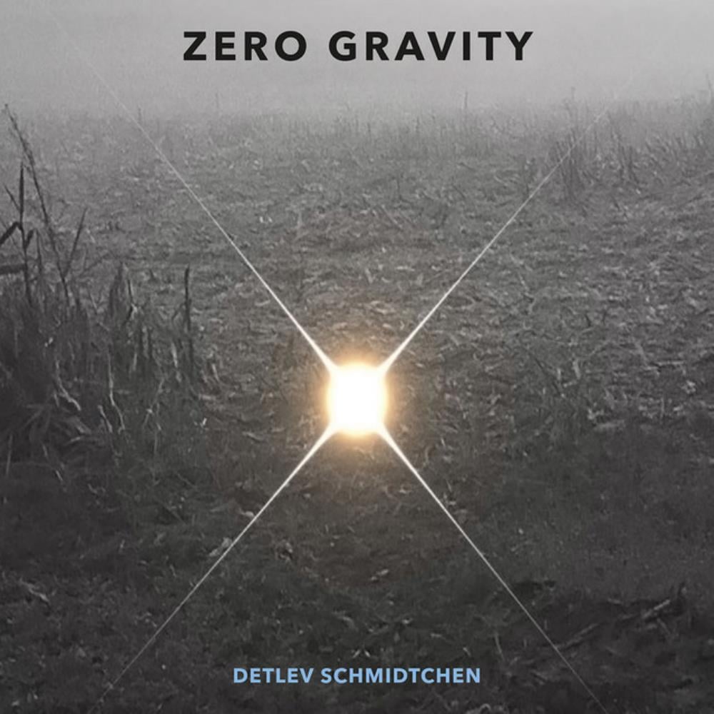 Detlev Schmidtchen Zero Gravity Reviews