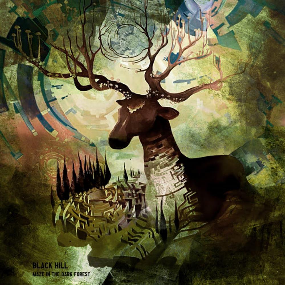 Black Hill Maze in the Dark Forest album cover