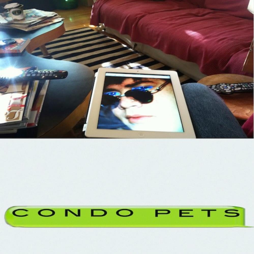 James Ferraro - Condo Pets CD (album) cover