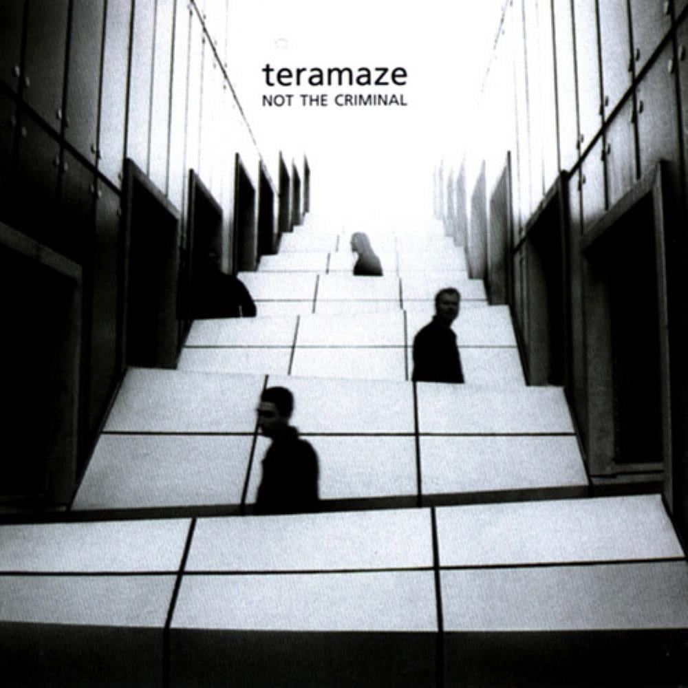 Teramaze Not the Criminal album cover