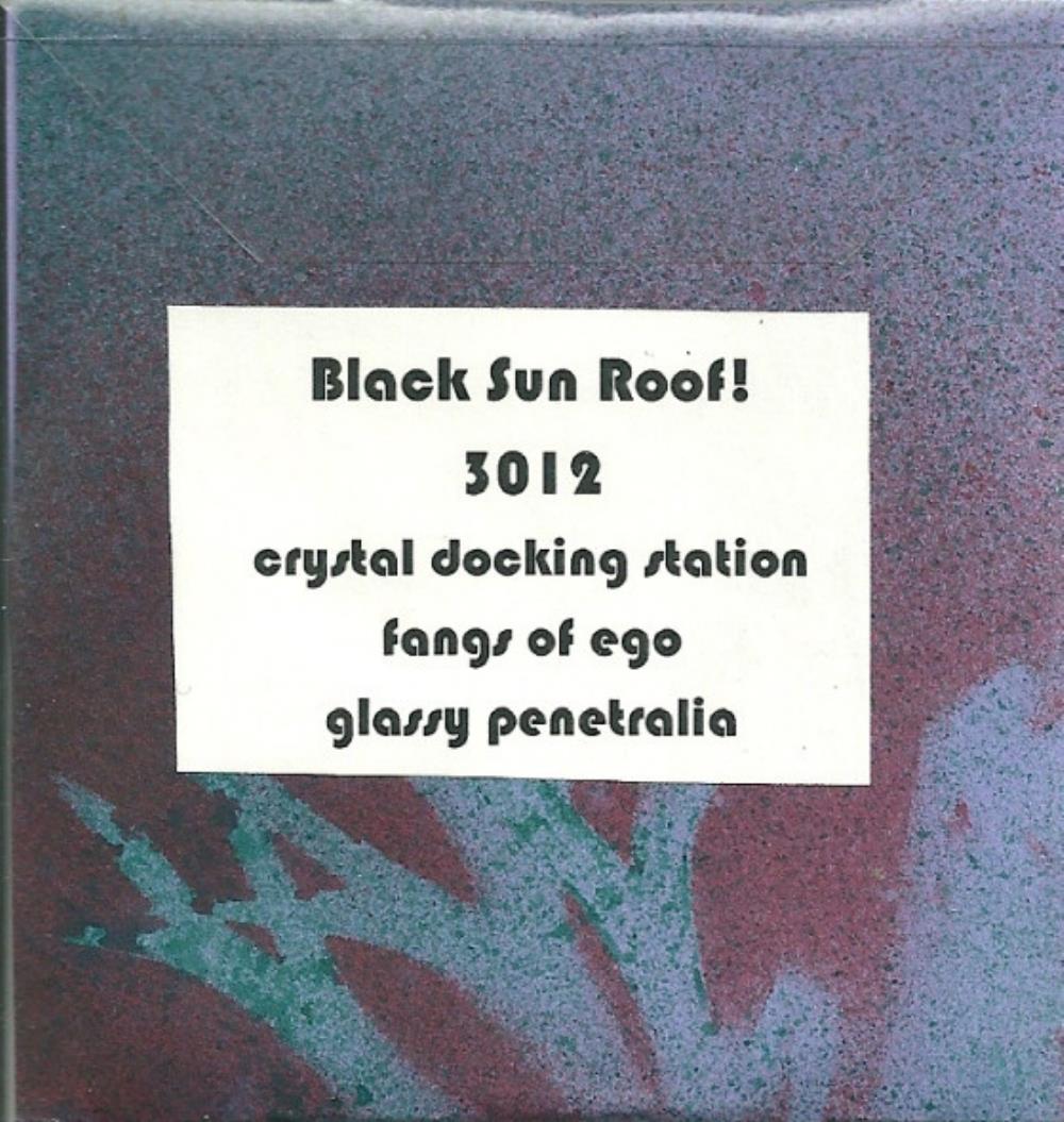 Sunroof! Black Sun Roof: 3012 album cover