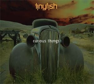 Tinyfish Curious Things album cover