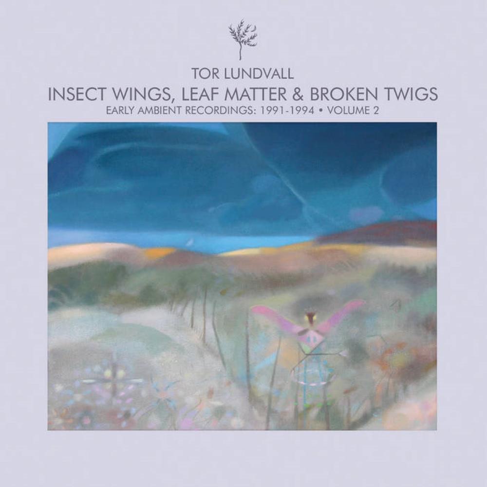 Tor Lundvall Insect Wings, Leaf Matter & Broken Twigs - Early Ambient Recordings: 1991-1994 Volume 2 album cover